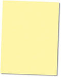 NextDayLabels - Pack of 500 Sheets 8-1/2" x 11" Letter Size CFB NCR Paper by NextDayLabels