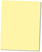 NextDayLabels - Pack of 500 Sheets 8-1/2" x 11" Letter Size CFB NCR Paper by NextDayLabels