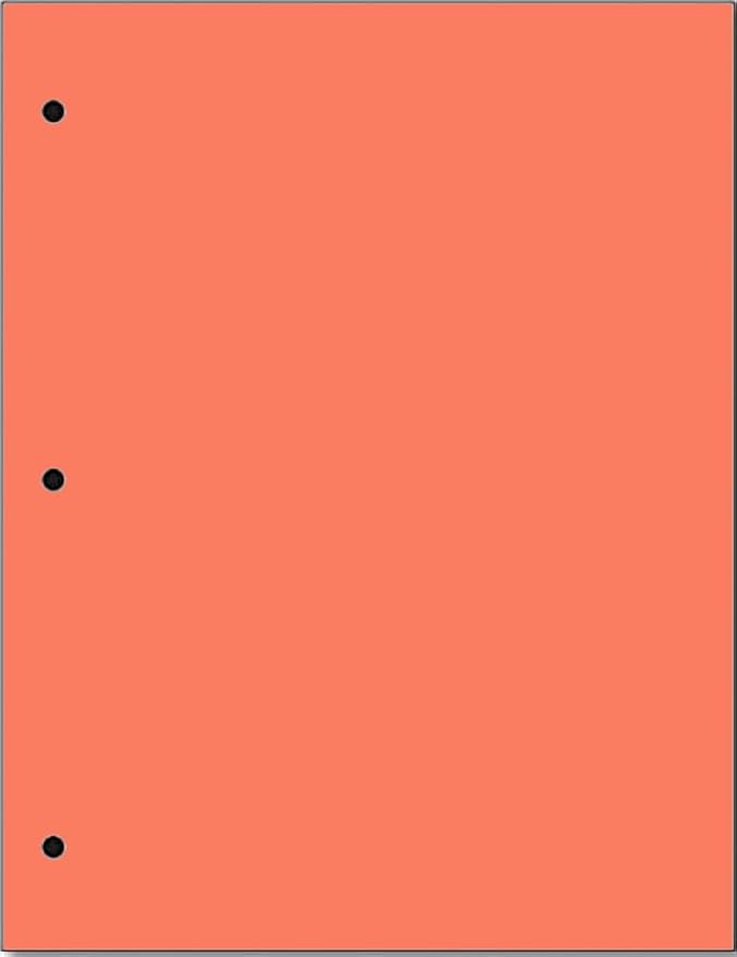Copy And Printing Color Paper, 20 Lb. 3 Hole Punch 500 Sheets Per Ream. by Limited+Papers