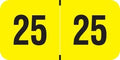 2025 Year Labels, Doctor Stuff 2025 Chart Stickers, Fluorescent Yellow Color by DoctorStuff
