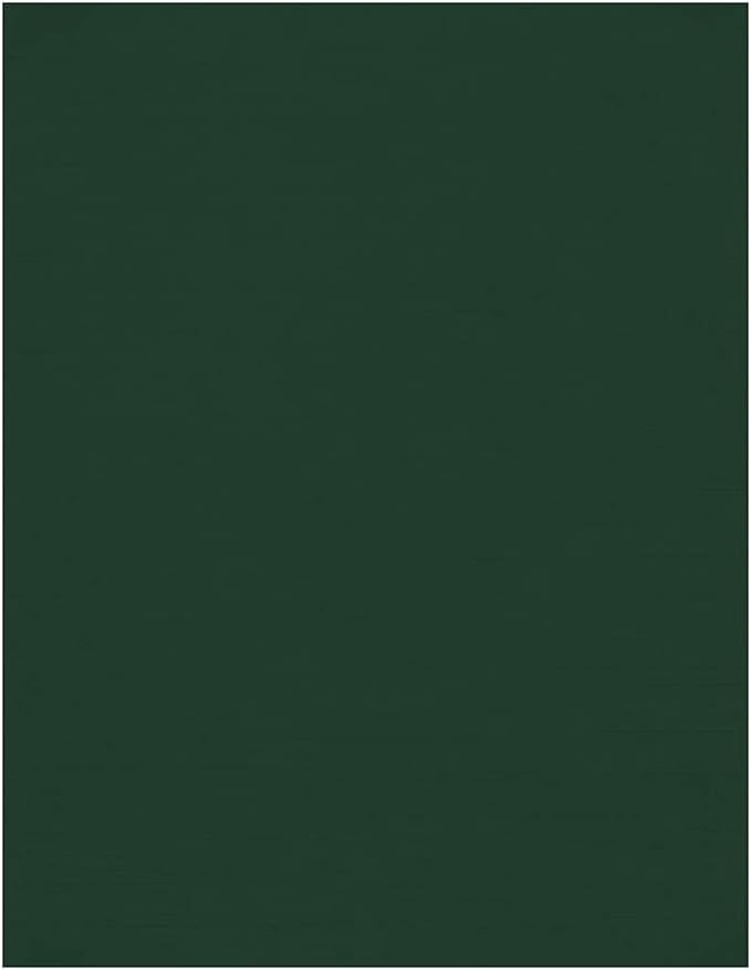 LUXPaper 8.5" x 11" Cardstock | Letter Size | Green Linen | 100lb. Cover | 50 by LUXPaper