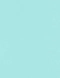 LUXPaper 8.5" x 11" Paper | Letter Size | Seafoam Blue | 80lb. Text | 50 Qty by LUXPaper