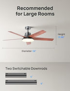 dreo smart ceiling fan with lights, 52 inch, front angle view