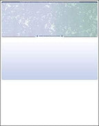 Compuchecks Check on Top Blank Check Paper - Image 2
