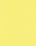 LUXPaper 8.5" x 11" Paper | Letter Size | Pastel Canary Yellow | 60lb. Text | 1 by LUXPaper