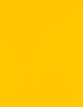 LUXPaper 8.5" x 11" Paper | Letter Size | Sunflower Yellow | 80lb. Text | 500