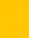 LUXPaper 8.5" x 11" Paper | Letter Size | Sunflower Yellow | 80lb. Text | 500 by LUXPaper