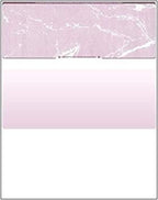 Compuchecks Check on Top Blank Check Paper by Compuchecks