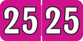 2025 Year Stickers, Doctor Stuff 2025 Chart Stickers, Fuchsia/Black Color Coded by DoctorStuff