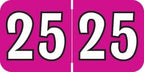 2025 Year Stickers, Doctor Stuff 2025 Chart Stickers, Fuchsia/Black Color Coded by DoctorStuff