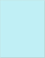 NextDayLabels - Pack of 500 Sheets 8-1/2" x 11" Letter Size CFB NCR Paper by NextDayLabels