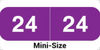 2024 MINI Year Labels, Doctor Stuff 2024 Chart Stickers, Ames Small Style by DoctorStuff