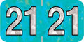 Doctor Stuff - 2021 Year Labels, Holographic Series, Holo Aqua Stickers, 500/Roll, 1 Roll, 3/4" x 1-1/2"