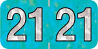 Doctor Stuff - 2021 Year Labels, Holographic Series, Holo Aqua Stickers, 500/Roll, 1 Roll, 3/4" x 1-1/2"
