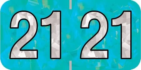 Doctor Stuff - 2021 Year Labels, Holographic Series, Holo Aqua Stickers, 500/Roll, 1 Roll, 3/4" x 1-1/2"