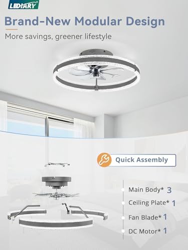 lediary ceiling fans with lights and remote, 20'' on a desk or shelf