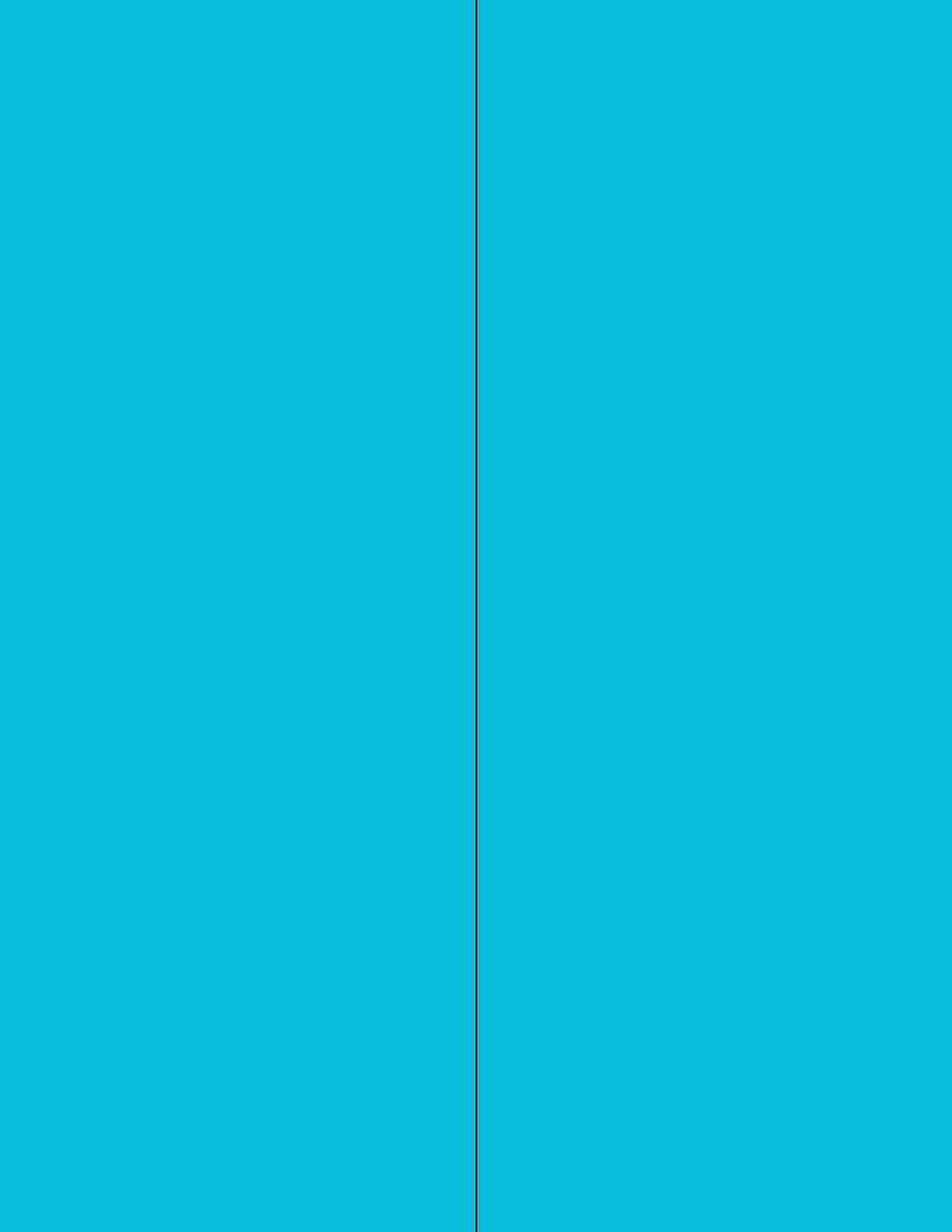 NextDayLabels - 8-1/2 x 11 Neon Color High Light Fluorescent Labels