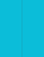 NextDayLabels - 8-1/2 x 11 Neon Color High Light Fluorescent Labels
