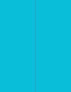 NextDayLabels - 8-1/2 x 11 Neon Color High Light Fluorescent Labels by NextDayLabels