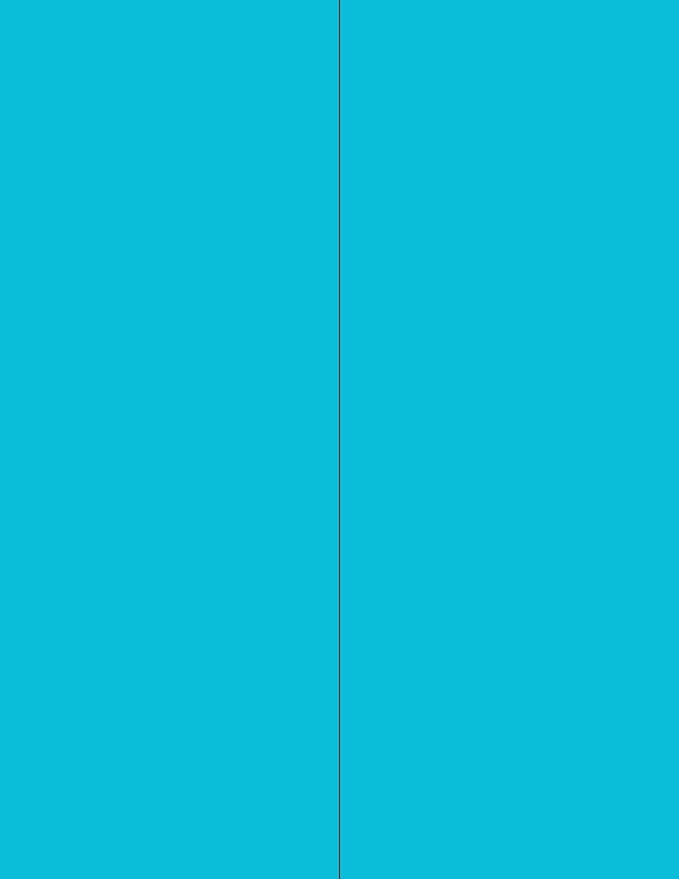 NextDayLabels - 8-1/2 x 11 Neon Color High Light Fluorescent Labels by NextDayLabels