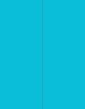 NextDayLabels - 8-1/2 x 11 Neon Color High Light Fluorescent Labels by NextDayLabels