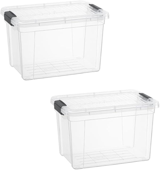 Superio Storage Bins with Lids- 2 Pack, 2.5 Qt Clear Boxes by Superio