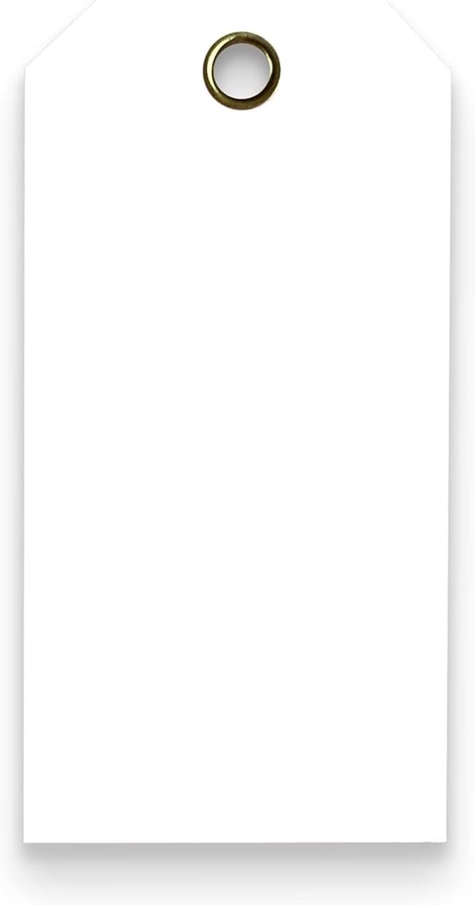 Tags 4 Less 15 Mil Waterproof Plastic Tags, Outdoor Tagging, Equipment Labeling by Tags+4+Less%2C+LLC