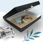 golden state art, clamshell archival storage box 11x14 showing dimensions