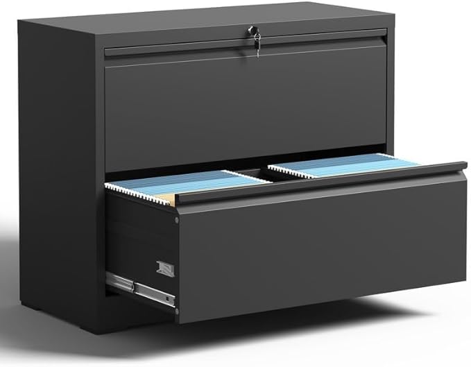 Yukimo 2 Drawer Lateral File Cabinet by YUKIMO