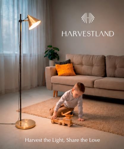 HarvestLand Noah 59" Brass Reading Floor Lamp, Adjustable Over Chair Lamp