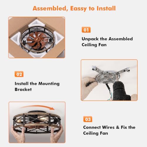 shluce caged ceiling fan with light and remote, side view