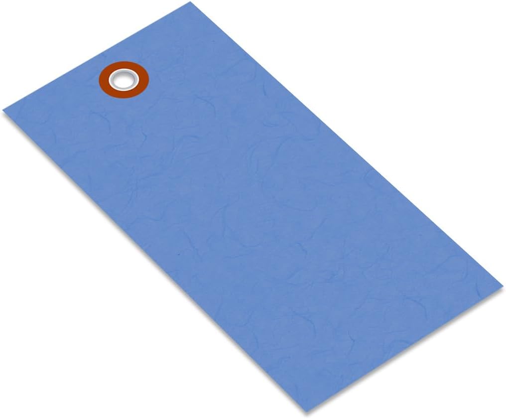 SmartSign Blue Shipping Tags, Size #5