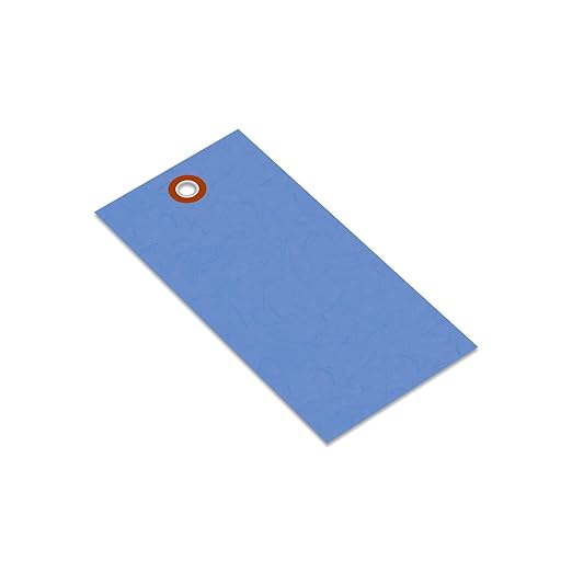 SmartSign Blue Shipping Tags, Size #5 by SmartSign