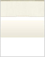 Compuchecks Gold Diamond Blank Check Paper by Compuchecks