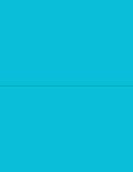 NextDayLabels - 8-1/2 x 11 Neon Color High Light Fluorescent Labels by NextDayLabels