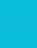 NextDayLabels - 8-1/2 x 11 Neon Color High Light Fluorescent Labels by NextDayLabels