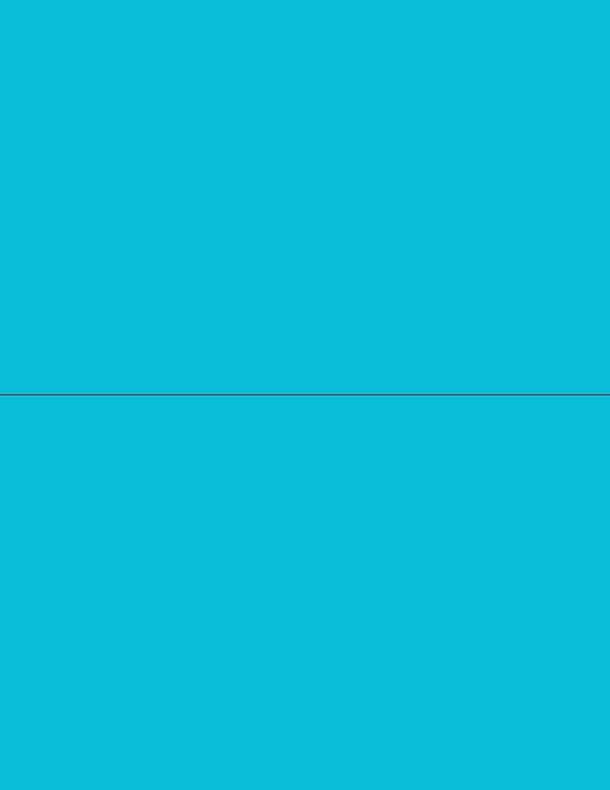 NextDayLabels - 8-1/2 x 11 Neon Color High Light Fluorescent Labels by NextDayLabels