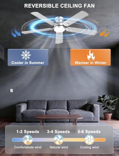 ohniyou 52'' silver low profile ceiling fan with, package contents