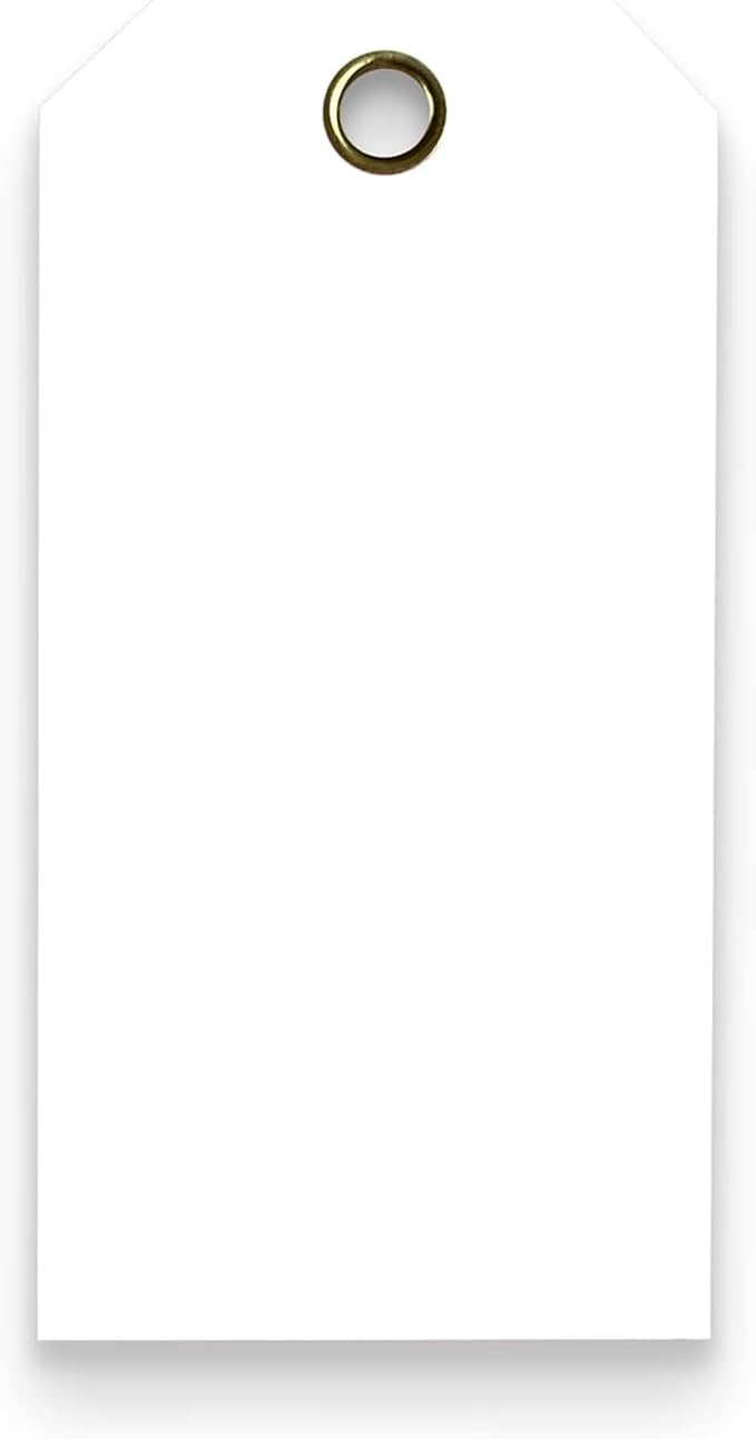 Tags 4 Less 15 Mil Waterproof Plastic Tags, Outdoor Tagging, Equipment Labeling by Tags+4+Less%2C+LLC