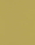 LUXPaper 8.5" x 11" Paper | Letter Size | Olive Green | 70lb. Text | 50 Qty by LUXPaper