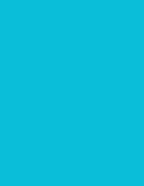 NextDayLabels - 8-1/2 x 11 Neon Color High Light Fluorescent Labels by NextDayLabels