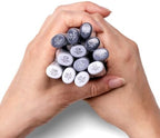 copic sketch alcohol markers, 12pc set, cool gray, package contents