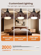 taloya 52 inch modern ceiling fans with lights showing dimensions