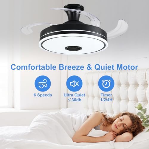 42'' retractable ceiling fan with lights, smart ceiling, package contents