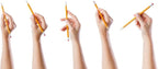 Trail maker Unsharpened Yellow Pencils in Bulk - Image 7