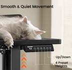 ErGear Electric Standing Desk - Image 7