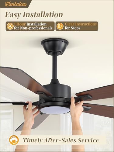 fanbulous 52 inch ceiling fans with lights, black, package contents