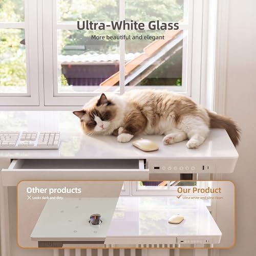 INNOVAR 40" Small Glass Standing Desk with Drawers & USB Ports, Whole-Piece Glass Top Adjustable Height Desks, Quick-Install Electric Sit-Stand Up Desk for Home Office & Computer Workstation, White