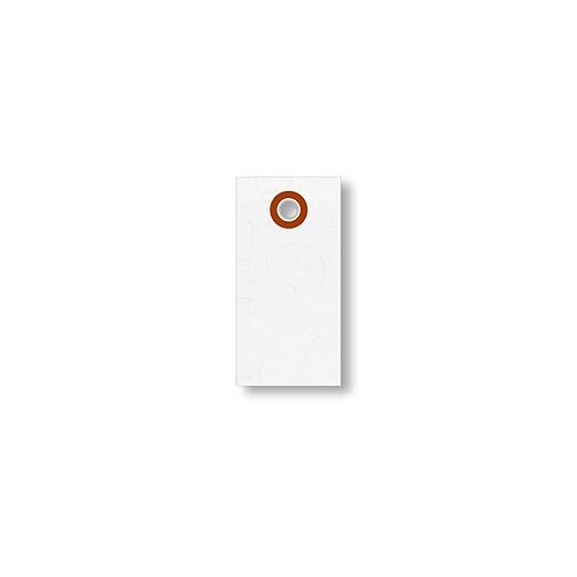 SmartSign White Shipping Tags, Size #1 by SmartSign