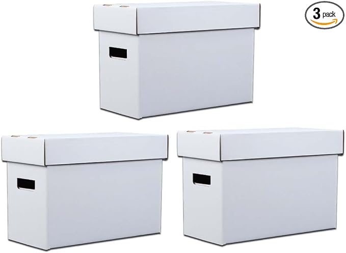 ANDPLAY 3 PCS Comic Book Storage Comic Book Box Holds 150-175 Comics by ANDPLAY